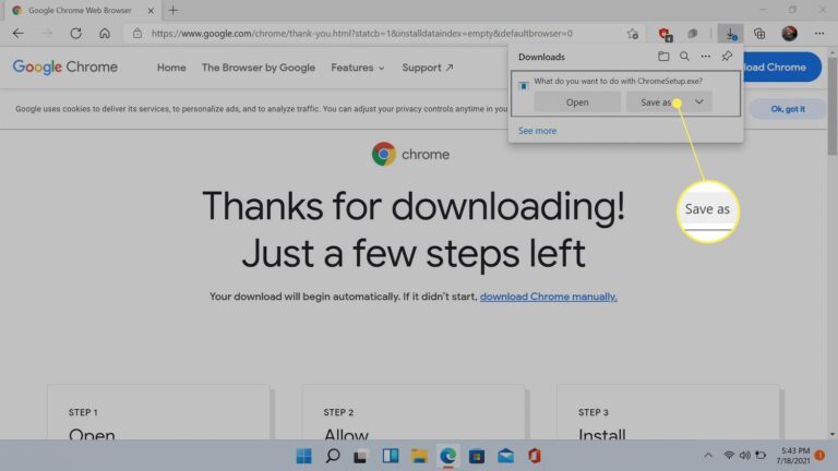 Google Chrome Download Windows 11